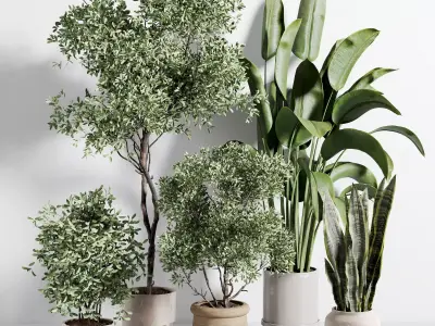  indoor plant 518 3D model