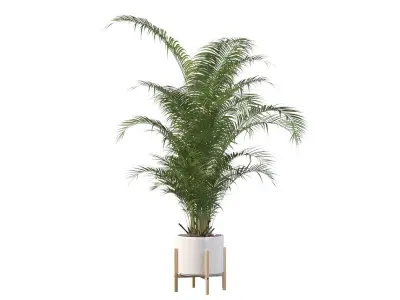 Plants collection 086 3D model