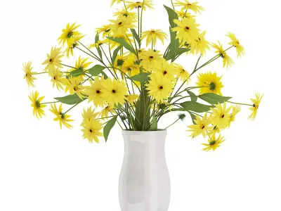 Coneflowers in Ceramic Vase 3D model