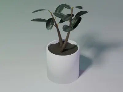 Ficus Burgundy Rubber Tree PBR Ready for Unreal Engine 5 Low-poly 3D model