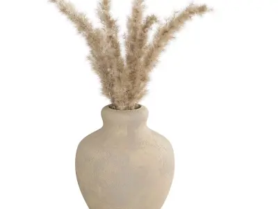 Pampas 3D model