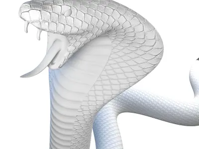 Snake Model Low-poly 3D model