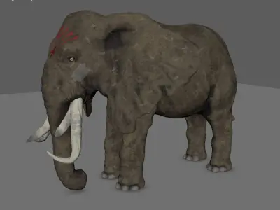 elephant high resolution 3D model