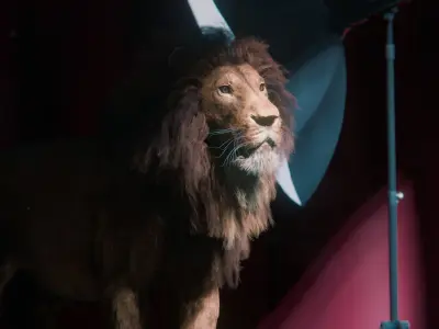 Lion Photorealistic Rigged 3d Blender 4K model  3D model