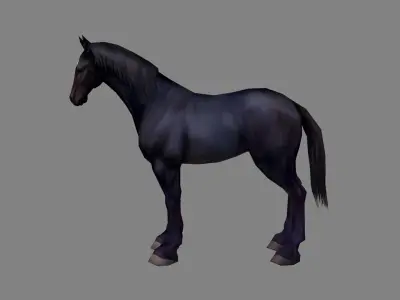 A black horse Low-poly 3D model