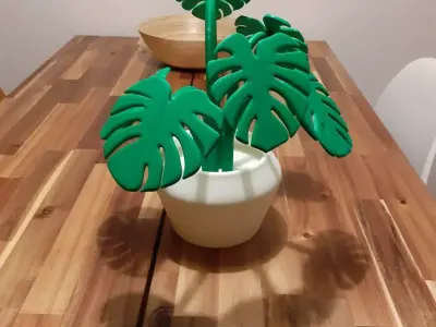Monstera plant for 3Dprint 3D model