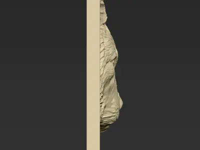 Wolf Head A11 3D print model