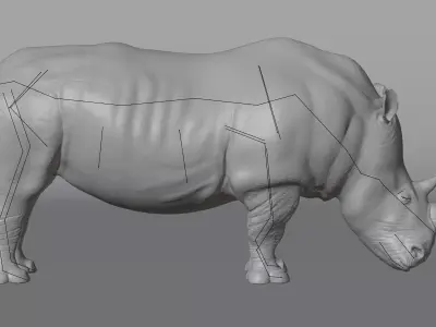 -White Rhinoceros Rigged- 3D model