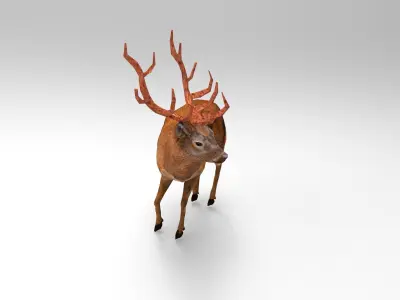 Red Deer Rigged Low-poly 3D model
