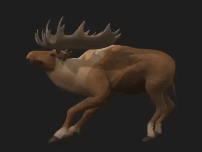 Moose-B2 3D model