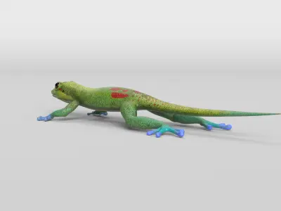 Gecko Low-poly 3D model