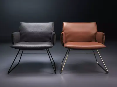 DS 515 Lounge Chair with Armrests 3D model