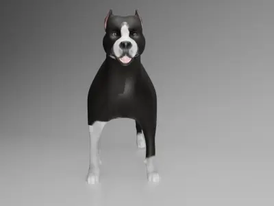 This is a model of a pit bull dog Low-poly 3D model