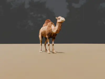 High-Quality 3D Camel Model Low-poly 3D model