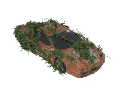 Damaged Rusted Sport Car  3D model