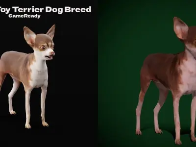 Russian Toy Terrier Dog Breed Low-poly 3D model