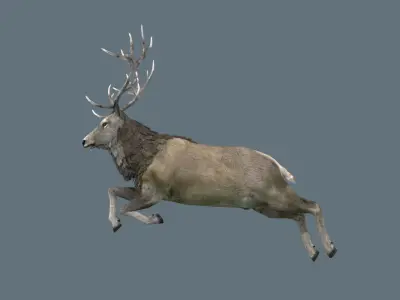 Deer Rig Low-poly 3D model