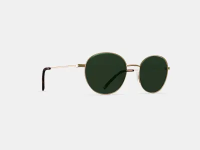Merrick Sunglasses in Polished Gold 3D model