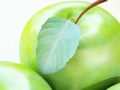 Green Apple High Detailed 3D model