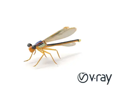 Lifelike Damselfly with Transparent Wings model pack Low-poly 3D model