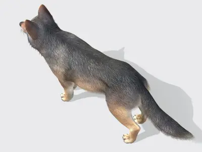 Wolf - Male Low-poly 3D model