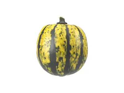 Photorealistic Decorative Gourd 3D Scan 2 3D model