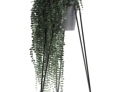 Plants in a flowerpot for the interior 946 3D model