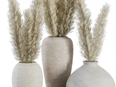 Indoor Plant SetV23 - Pampas old pot 3D model