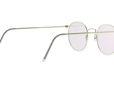 Ful Vue Glasses 3D model