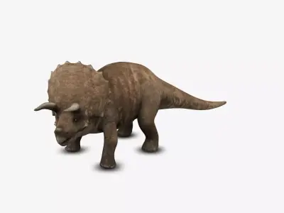 Triceratop 3D model