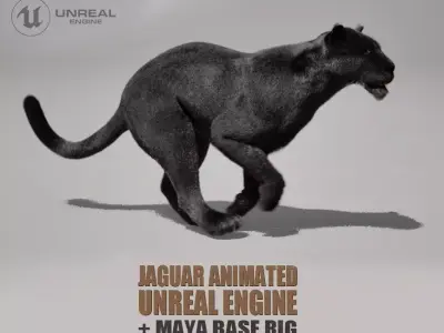 Black Jaguar Animated UNREAL project  Maya base rig 3D model