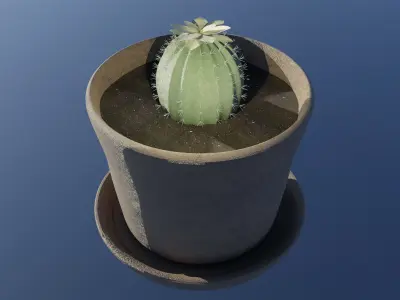 Cactus 3D model purchase