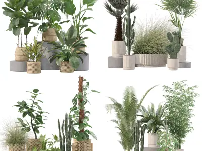 20 Photorealistic Flowers for Interiors - set 203 205 209 216 3D Model Collection