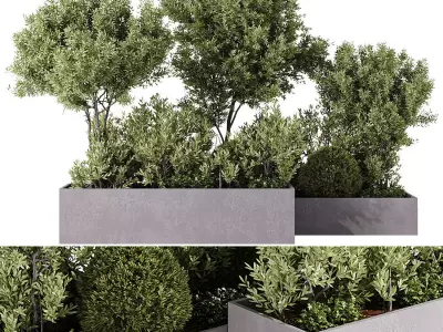  Outdoor Plants - 5 Plants in box 3D model