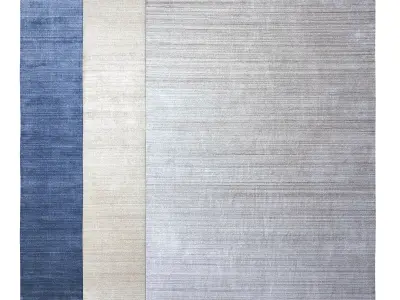 Heath Rug 3D model