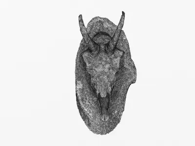 Deer Skull Trophy 2 3D model