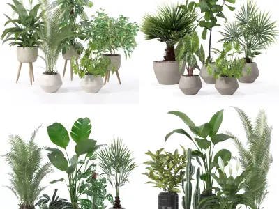 20 Photorealistic Flowers for Interiors - set 121 126 130 134 3D Model Collection