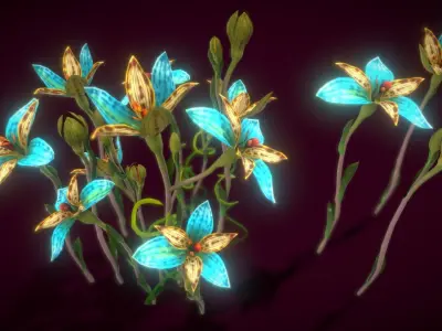 Flower Thelymitra Pulcherrima Low-poly 3D model