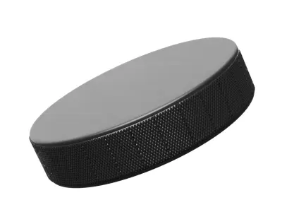 Hockey Puck 3D model