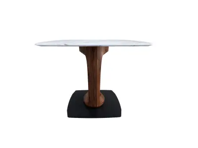 Orbital Table 3D model