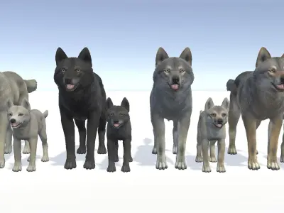 WOLF FAMILY Low-poly 3D model