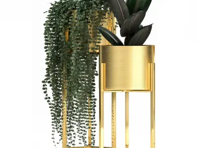Houseplants in a gold pot for the interior 907 3D model