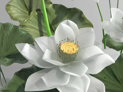 White lotus vase water lily vase tropical asian indochina 3D model