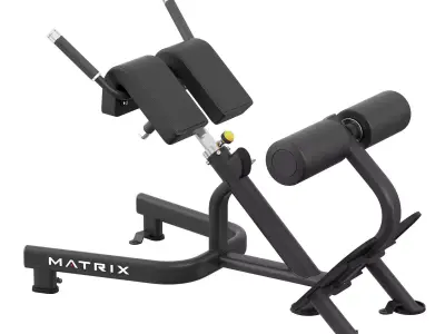 Magnum Back Extension Bench 3D model