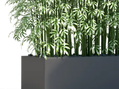 PLANTS 189 3D model
