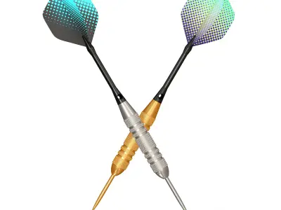 Two Dart Needles 3D model