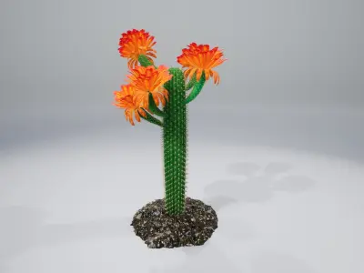 Cactus GF 3D model