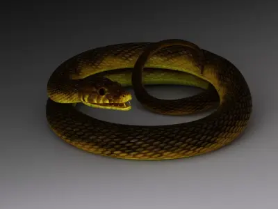 Snake Rig 3D model purchase