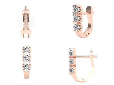 Earrings cm 2 3D print model