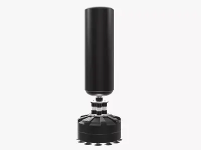 Boxing punch bag standing  3D model